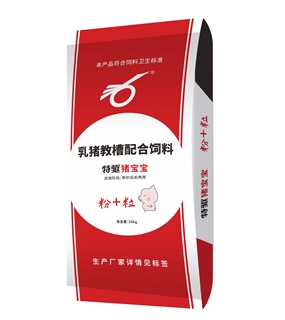 猪宝宝