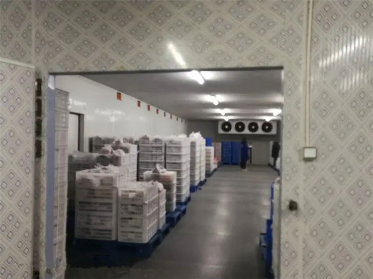 图为Z6尊龙凯时工程建造的冷库