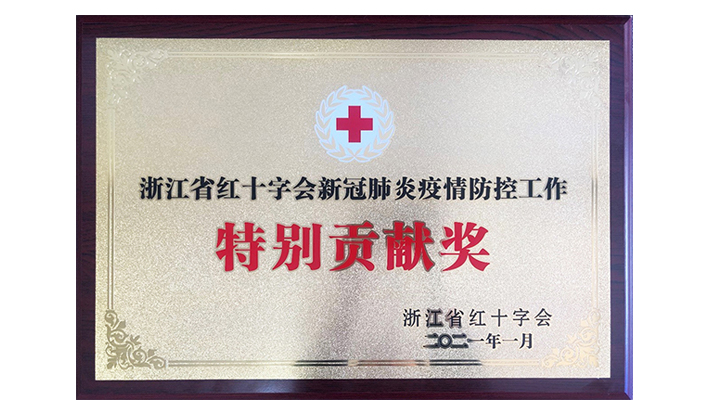 浙江省红十字会授予lewin乐玩-(中国)有限公司官方网站“新冠疫情防控出格贡献奖”